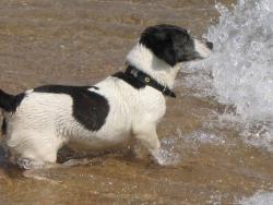 tiere_0014.JPG