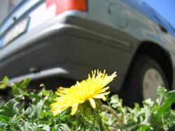 diverse_0030.jpg