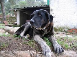 tiere_0033.jpg