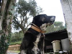 tiere_0034.jpg