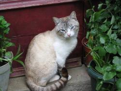 tiere_0037.JPG