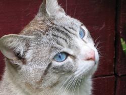 tiere_0036.JPG