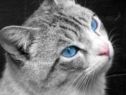 tiere_0035.JPG