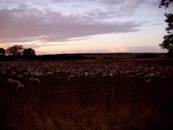 landschaft_0018.JPG